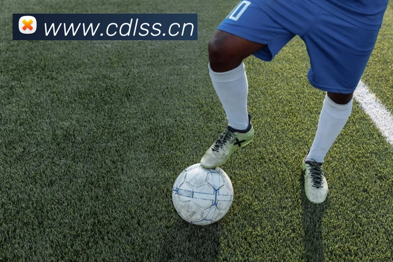 ayx爱游官方网站服务体系